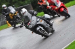 A Group Black/Silver Bikes