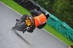 Motorcycle-action-photographs;Trackday-digital-images;cadwell;cadwell-park-photographs;event-digital-images;eventdigitalimages;hopp-rider-training;motor-racing-louth-lincolnshire;peter-wileman-photography;trackday;trackday-photos