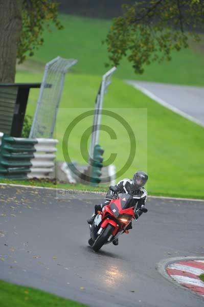 Motorcycle action photographs;Trackday digital images;cadwell;cadwell park photographs;event digital images;eventdigitalimages;hopp rider training;motor racing louth lincolnshire;peter wileman photography;trackday;trackday photos