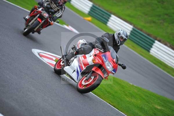 Motorcycle action photographs;Trackday digital images;cadwell;cadwell park photographs;event digital images;eventdigitalimages;hopp rider training;motor racing louth lincolnshire;peter wileman photography;trackday;trackday photos