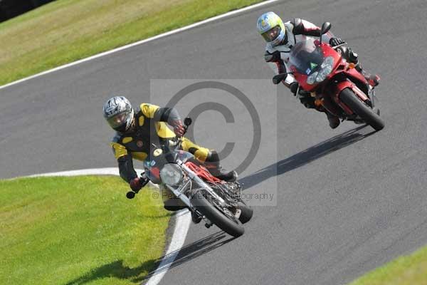 Motorcycle action photographs;Trackday digital images;cadwell;cadwell park photographs;event digital images;eventdigitalimages;hopp rider training;motor racing louth lincolnshire;peter wileman photography;trackday;trackday photos