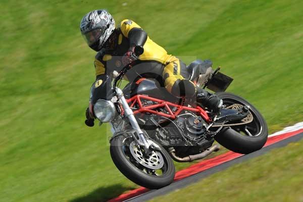 Motorcycle action photographs;Trackday digital images;cadwell;cadwell park photographs;event digital images;eventdigitalimages;hopp rider training;motor racing louth lincolnshire;peter wileman photography;trackday;trackday photos