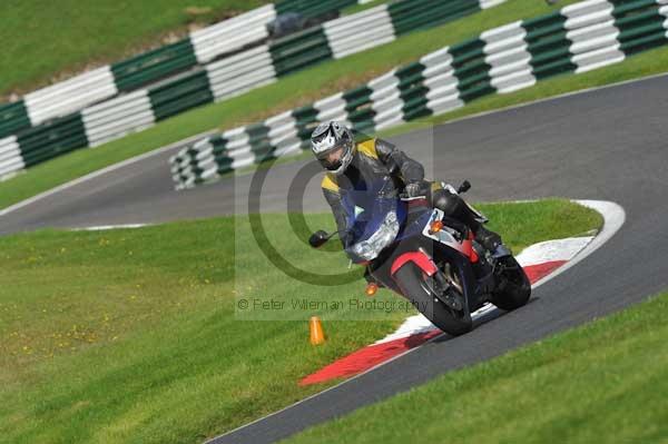 Motorcycle action photographs;Trackday digital images;cadwell;cadwell park photographs;event digital images;eventdigitalimages;hopp rider training;motor racing louth lincolnshire;peter wileman photography;trackday;trackday photos