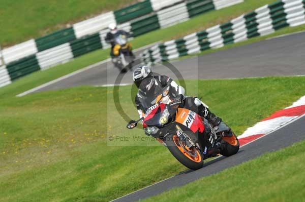 Motorcycle action photographs;Trackday digital images;cadwell;cadwell park photographs;event digital images;eventdigitalimages;hopp rider training;motor racing louth lincolnshire;peter wileman photography;trackday;trackday photos