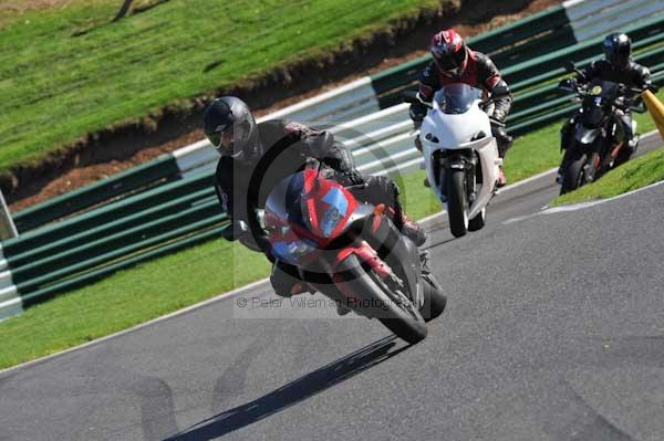 Motorcycle action photographs;Trackday digital images;cadwell;cadwell park photographs;event digital images;eventdigitalimages;hopp rider training;motor racing louth lincolnshire;peter wileman photography;trackday;trackday photos