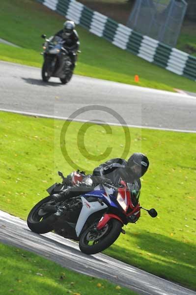 Motorcycle action photographs;Trackday digital images;cadwell;cadwell park photographs;event digital images;eventdigitalimages;hopp rider training;motor racing louth lincolnshire;peter wileman photography;trackday;trackday photos