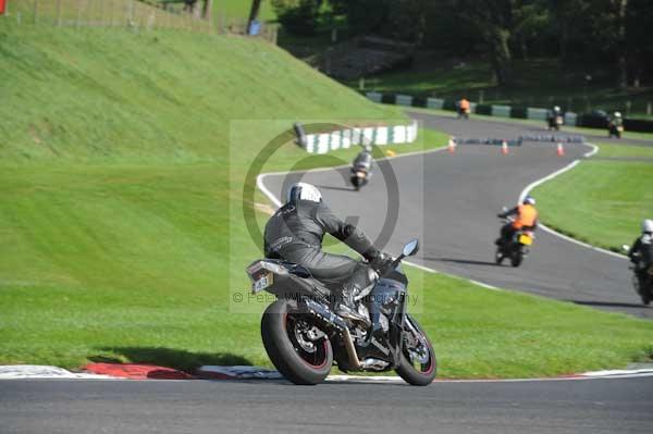 Motorcycle action photographs;Trackday digital images;cadwell;cadwell park photographs;event digital images;eventdigitalimages;hopp rider training;motor racing louth lincolnshire;peter wileman photography;trackday;trackday photos