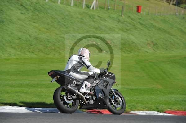 Motorcycle action photographs;Trackday digital images;cadwell;cadwell park photographs;event digital images;eventdigitalimages;hopp rider training;motor racing louth lincolnshire;peter wileman photography;trackday;trackday photos