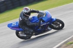 Mallory-park-Leicestershire;Mallory-park-photographs;Motorcycle-action-photographs;Trackday-digital-images;event-digital-images;eventdigitalimages;mallory-park;no-limits-trackday;peter-wileman-photography;trackday;trackday-photos