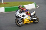 Mallory-park-Leicestershire;Mallory-park-photographs;Motorcycle-action-photographs;Trackday-digital-images;event-digital-images;eventdigitalimages;mallory-park;no-limits-trackday;peter-wileman-photography;trackday;trackday-photos