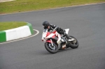 Mallory-park-Leicestershire;Mallory-park-photographs;Motorcycle-action-photographs;Trackday-digital-images;event-digital-images;eventdigitalimages;mallory-park;no-limits-trackday;peter-wileman-photography;trackday;trackday-photos