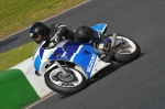 Mallory-park-Leicestershire;Mallory-park-photographs;Motorcycle-action-photographs;Trackday-digital-images;event-digital-images;eventdigitalimages;mallory-park;no-limits-trackday;peter-wileman-photography;trackday;trackday-photos