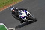 Mallory-park-Leicestershire;Mallory-park-photographs;Motorcycle-action-photographs;Trackday-digital-images;event-digital-images;eventdigitalimages;mallory-park;no-limits-trackday;peter-wileman-photography;trackday;trackday-photos