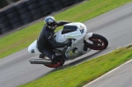 Mallory-park-Leicestershire;Mallory-park-photographs;Motorcycle-action-photographs;Trackday-digital-images;event-digital-images;eventdigitalimages;mallory-park;no-limits-trackday;peter-wileman-photography;trackday;trackday-photos