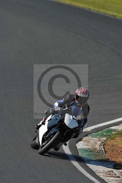 Mallory park Leicestershire;Mallory park photographs;Motorcycle action photographs;event digital images;eventdigitalimages;mallory park;no limits trackday;peter wileman photography;trackday;trackday digital images;trackday photos