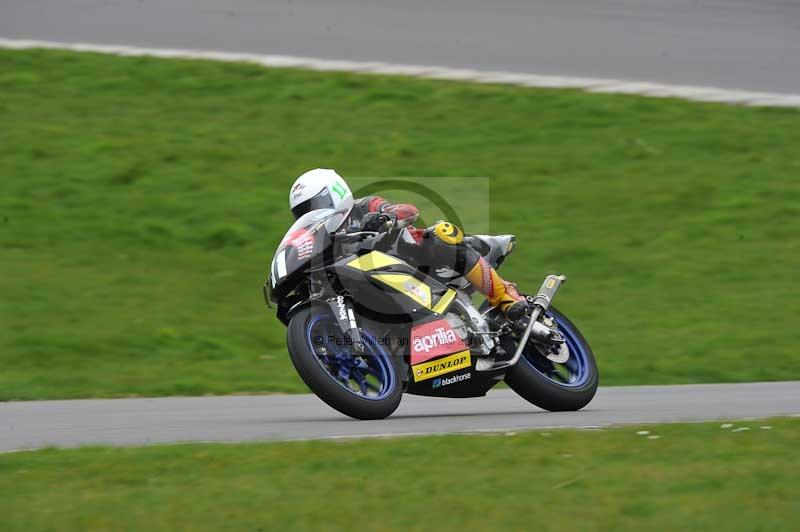 Motorcycle action photographs;anglesey circuit;anglesey trackday photographs;event digital images;eventdigitalimages;no limits trackday;oulton park circuit cheshire;peter wileman photography;trackday;trackday digital images;trackday photos;ty croes circuit wales