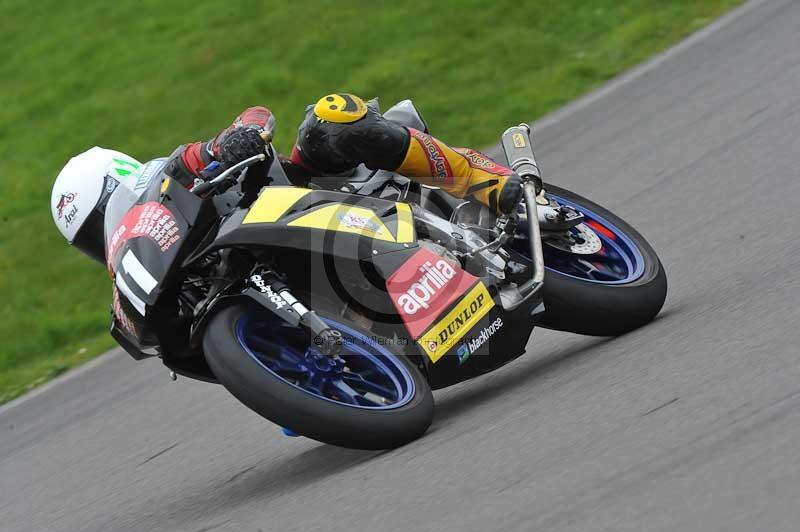 Motorcycle action photographs;anglesey circuit;anglesey trackday photographs;event digital images;eventdigitalimages;no limits trackday;oulton park circuit cheshire;peter wileman photography;trackday;trackday digital images;trackday photos;ty croes circuit wales