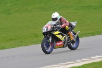 Motorcycle-action-photographs;anglesey-circuit;anglesey-trackday-photographs;event-digital-images;eventdigitalimages;no-limits-trackday;oulton-park-circuit-cheshire;peter-wileman-photography;trackday;trackday-digital-images;trackday-photos;ty-croes-circuit-wales