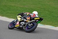 Motorcycle-action-photographs;anglesey-circuit;anglesey-trackday-photographs;event-digital-images;eventdigitalimages;no-limits-trackday;oulton-park-circuit-cheshire;peter-wileman-photography;trackday;trackday-digital-images;trackday-photos;ty-croes-circuit-wales