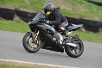 Motorcycle-action-photographs;anglesey-circuit;anglesey-trackday-photographs;event-digital-images;eventdigitalimages;no-limits-trackday;oulton-park-circuit-cheshire;peter-wileman-photography;trackday;trackday-digital-images;trackday-photos;ty-croes-circuit-wales