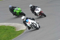 Motorcycle-action-photographs;anglesey-circuit;anglesey-trackday-photographs;event-digital-images;eventdigitalimages;no-limits-trackday;oulton-park-circuit-cheshire;peter-wileman-photography;trackday;trackday-digital-images;trackday-photos;ty-croes-circuit-wales