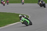 Motorcycle-action-photographs;anglesey-circuit;anglesey-trackday-photographs;event-digital-images;eventdigitalimages;no-limits-trackday;oulton-park-circuit-cheshire;peter-wileman-photography;trackday;trackday-digital-images;trackday-photos;ty-croes-circuit-wales