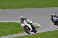 Motorcycle-action-photographs;anglesey-circuit;anglesey-trackday-photographs;event-digital-images;eventdigitalimages;no-limits-trackday;oulton-park-circuit-cheshire;peter-wileman-photography;trackday;trackday-digital-images;trackday-photos;ty-croes-circuit-wales