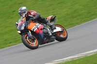 Motorcycle-action-photographs;anglesey-circuit;anglesey-trackday-photographs;event-digital-images;eventdigitalimages;no-limits-trackday;oulton-park-circuit-cheshire;peter-wileman-photography;trackday;trackday-digital-images;trackday-photos;ty-croes-circuit-wales