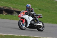 Motorcycle-action-photographs;anglesey-circuit;anglesey-trackday-photographs;event-digital-images;eventdigitalimages;no-limits-trackday;oulton-park-circuit-cheshire;peter-wileman-photography;trackday;trackday-digital-images;trackday-photos;ty-croes-circuit-wales