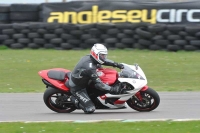 Motorcycle-action-photographs;anglesey-circuit;anglesey-trackday-photographs;event-digital-images;eventdigitalimages;no-limits-trackday;oulton-park-circuit-cheshire;peter-wileman-photography;trackday;trackday-digital-images;trackday-photos;ty-croes-circuit-wales