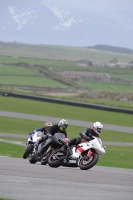 Motorcycle-action-photographs;anglesey-circuit;anglesey-trackday-photographs;event-digital-images;eventdigitalimages;no-limits-trackday;oulton-park-circuit-cheshire;peter-wileman-photography;trackday;trackday-digital-images;trackday-photos;ty-croes-circuit-wales