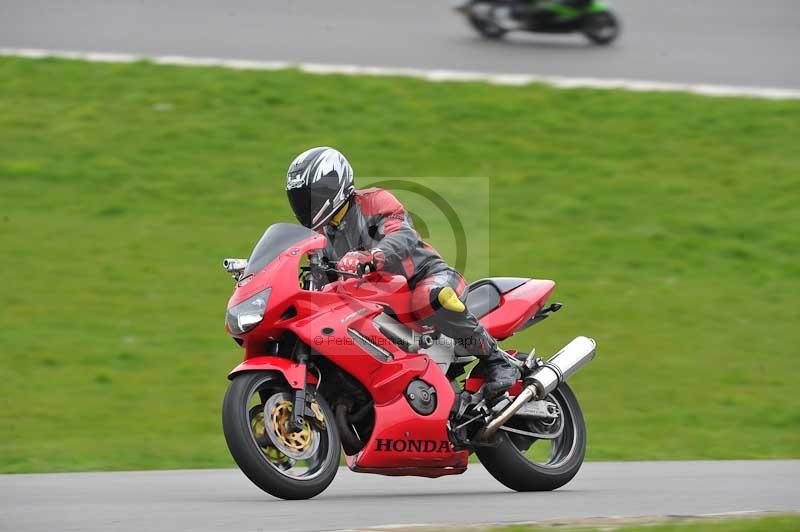 Motorcycle action photographs;anglesey circuit;anglesey trackday photographs;event digital images;eventdigitalimages;no limits trackday;oulton park circuit cheshire;peter wileman photography;trackday;trackday digital images;trackday photos;ty croes circuit wales