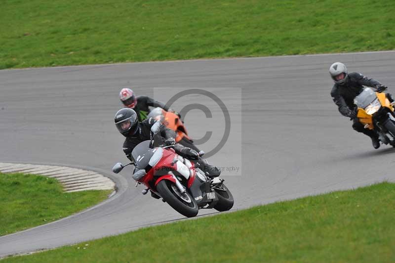 Motorcycle action photographs;anglesey circuit;anglesey trackday photographs;event digital images;eventdigitalimages;no limits trackday;oulton park circuit cheshire;peter wileman photography;trackday;trackday digital images;trackday photos;ty croes circuit wales