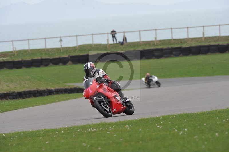 Motorcycle action photographs;anglesey circuit;anglesey trackday photographs;event digital images;eventdigitalimages;no limits trackday;oulton park circuit cheshire;peter wileman photography;trackday;trackday digital images;trackday photos;ty croes circuit wales