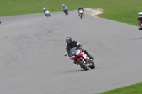 Motorcycle-action-photographs;anglesey-circuit;anglesey-trackday-photographs;event-digital-images;eventdigitalimages;no-limits-trackday;oulton-park-circuit-cheshire;peter-wileman-photography;trackday;trackday-digital-images;trackday-photos;ty-croes-circuit-wales