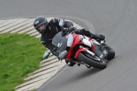 Motorcycle-action-photographs;anglesey-circuit;anglesey-trackday-photographs;event-digital-images;eventdigitalimages;no-limits-trackday;oulton-park-circuit-cheshire;peter-wileman-photography;trackday;trackday-digital-images;trackday-photos;ty-croes-circuit-wales