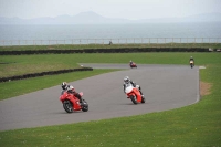 Motorcycle-action-photographs;anglesey-circuit;anglesey-trackday-photographs;event-digital-images;eventdigitalimages;no-limits-trackday;oulton-park-circuit-cheshire;peter-wileman-photography;trackday;trackday-digital-images;trackday-photos;ty-croes-circuit-wales