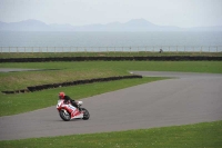 Motorcycle-action-photographs;anglesey-circuit;anglesey-trackday-photographs;event-digital-images;eventdigitalimages;no-limits-trackday;oulton-park-circuit-cheshire;peter-wileman-photography;trackday;trackday-digital-images;trackday-photos;ty-croes-circuit-wales