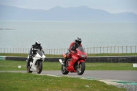 Motorcycle-action-photographs;anglesey-circuit;anglesey-trackday-photographs;event-digital-images;eventdigitalimages;no-limits-trackday;oulton-park-circuit-cheshire;peter-wileman-photography;trackday;trackday-digital-images;trackday-photos;ty-croes-circuit-wales