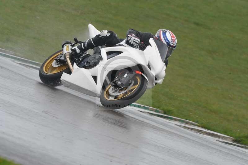 Motorcycle action photographs;anglesey circuit;anglesey trackday photographs;event digital images;eventdigitalimages;no limits trackday;oulton park circuit cheshire;peter wileman photography;trackday;trackday digital images;trackday photos;ty croes circuit wales