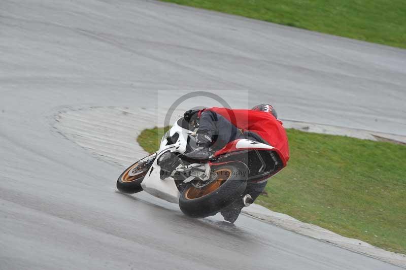 Motorcycle action photographs;anglesey circuit;anglesey trackday photographs;event digital images;eventdigitalimages;no limits trackday;oulton park circuit cheshire;peter wileman photography;trackday;trackday digital images;trackday photos;ty croes circuit wales