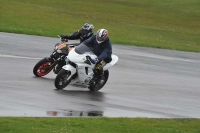 Motorcycle-action-photographs;anglesey-circuit;anglesey-trackday-photographs;event-digital-images;eventdigitalimages;no-limits-trackday;oulton-park-circuit-cheshire;peter-wileman-photography;trackday;trackday-digital-images;trackday-photos;ty-croes-circuit-wales