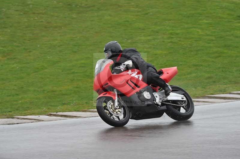 Motorcycle action photographs;anglesey circuit;anglesey trackday photographs;event digital images;eventdigitalimages;no limits trackday;oulton park circuit cheshire;peter wileman photography;trackday;trackday digital images;trackday photos;ty croes circuit wales