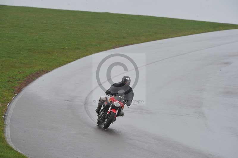 Motorcycle action photographs;anglesey circuit;anglesey trackday photographs;event digital images;eventdigitalimages;no limits trackday;oulton park circuit cheshire;peter wileman photography;trackday;trackday digital images;trackday photos;ty croes circuit wales