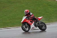 Motorcycle-action-photographs;anglesey-circuit;anglesey-trackday-photographs;event-digital-images;eventdigitalimages;no-limits-trackday;oulton-park-circuit-cheshire;peter-wileman-photography;trackday;trackday-digital-images;trackday-photos;ty-croes-circuit-wales