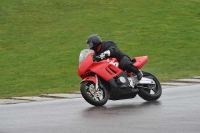 Motorcycle-action-photographs;anglesey-circuit;anglesey-trackday-photographs;event-digital-images;eventdigitalimages;no-limits-trackday;oulton-park-circuit-cheshire;peter-wileman-photography;trackday;trackday-digital-images;trackday-photos;ty-croes-circuit-wales