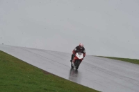 Motorcycle-action-photographs;anglesey-circuit;anglesey-trackday-photographs;event-digital-images;eventdigitalimages;no-limits-trackday;oulton-park-circuit-cheshire;peter-wileman-photography;trackday;trackday-digital-images;trackday-photos;ty-croes-circuit-wales