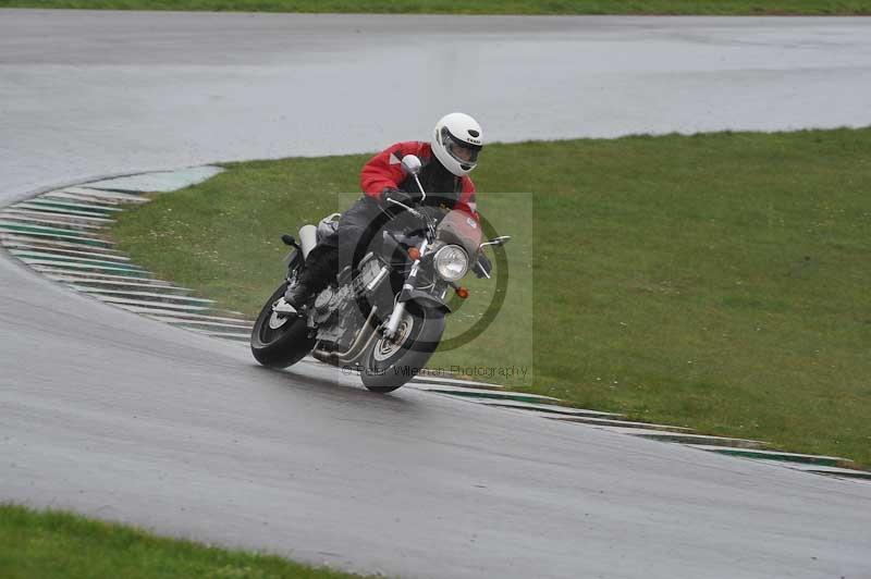 Motorcycle action photographs;anglesey circuit;anglesey trackday photographs;event digital images;eventdigitalimages;no limits trackday;oulton park circuit cheshire;peter wileman photography;trackday;trackday digital images;trackday photos;ty croes circuit wales