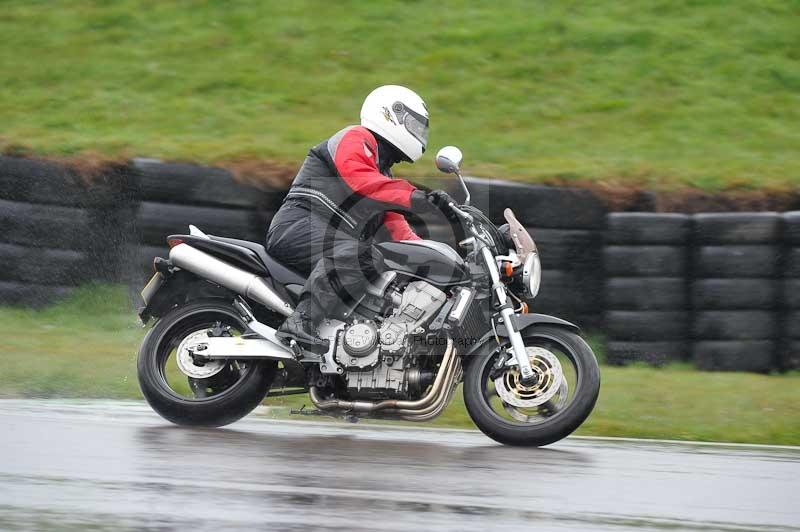 Motorcycle action photographs;anglesey circuit;anglesey trackday photographs;event digital images;eventdigitalimages;no limits trackday;oulton park circuit cheshire;peter wileman photography;trackday;trackday digital images;trackday photos;ty croes circuit wales