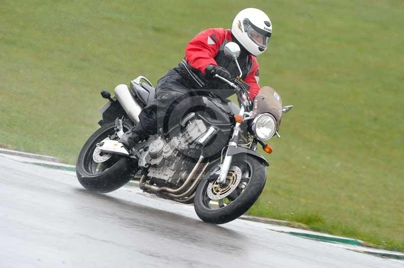 Motorcycle action photographs;anglesey circuit;anglesey trackday photographs;event digital images;eventdigitalimages;no limits trackday;oulton park circuit cheshire;peter wileman photography;trackday;trackday digital images;trackday photos;ty croes circuit wales